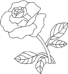Featured image of post Dibujos De Rosas Para Dibujar Faciles los dibujos son muy lindos y faciles de hacer se pueden ense ar a los ni os a dibujar