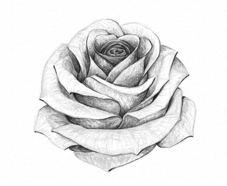 rosas para dibujar