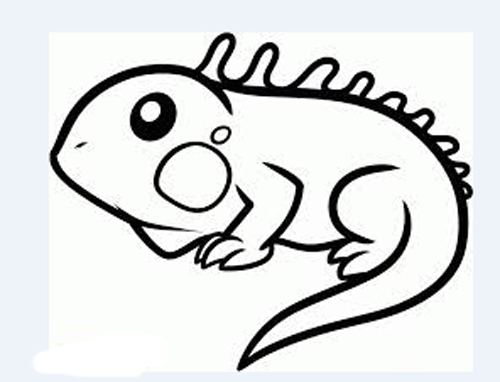 iguana de dibujo